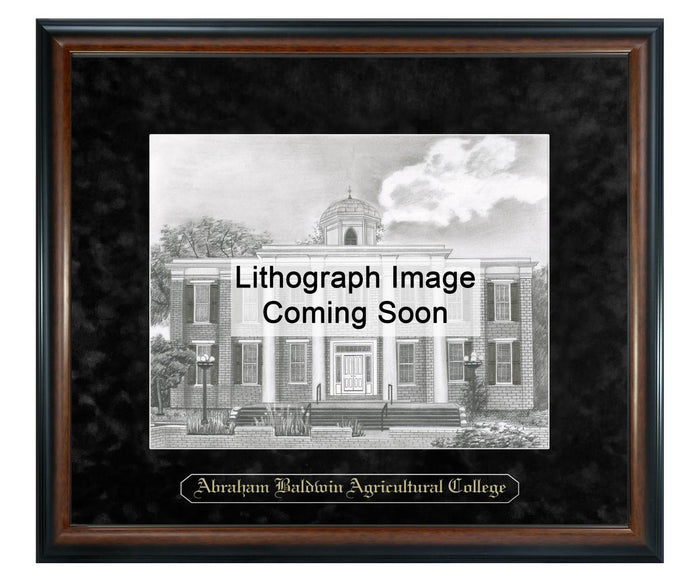 Abraham Baldwin Agricultural College Litho Frame,Diploma Frame (XNL)