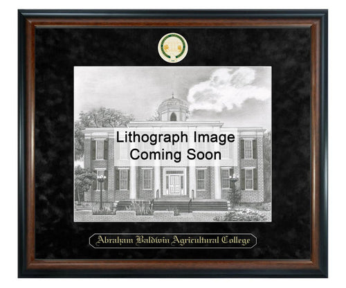 Abraham Baldwin Agricultural College Litho Frame,Diploma Frame (XSNL)
