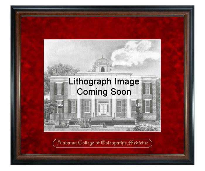 Alabama College of Osteopathic Medicine Litho Frame,Diploma Frame (XNL)