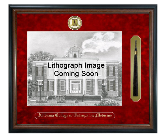 Alabama College of Osteopathic Medicine Litho Frame,Diploma Frame (XSNTL)