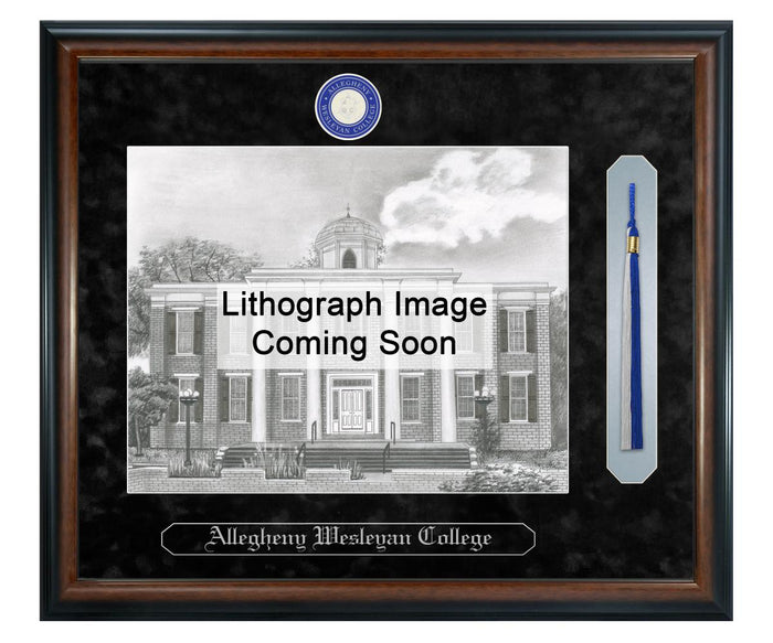 Allegheny Wesleyan College Litho Frame,Diploma Frame (XSNTL)