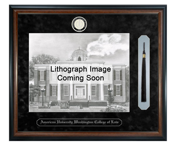 American University Washington College of Law Litho Frame,Diploma Frame (XSNTL)