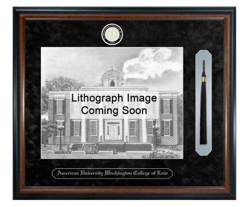 American University Washington College of Law Litho Frame,Diploma Frame (XSNTL)