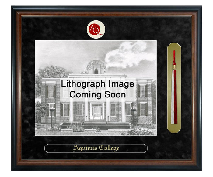 Aquinas College Litho Frame,Diploma Frame (XSNTL)