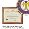 Bellevue University Certificate with Frame
