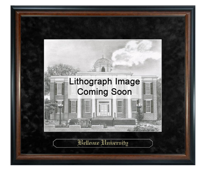 Bellevue University Litho Frame,Diploma Frame (XNL)