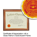 Central Michigan University Certificate with Frame