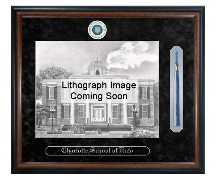 Charlotte School of Law Litho Frame,Diploma Frame (XSNTL)
