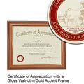 College of Charleston Certificate with Frame
