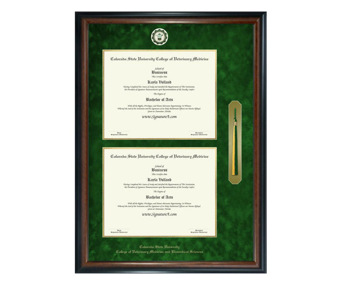 Colorado State University College of Veterinary Medicine Diploma Frame (DSNT)