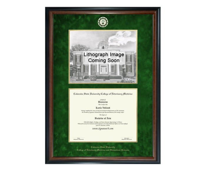 Colorado State University College of Veterinary Medicine Diploma Frame (SNL)