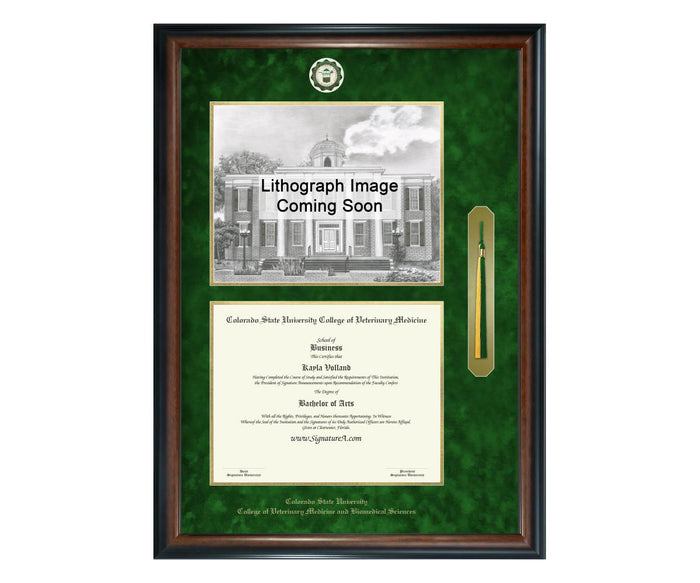 Colorado State University College of Veterinary Medicine Diploma Frame (SNTL)
