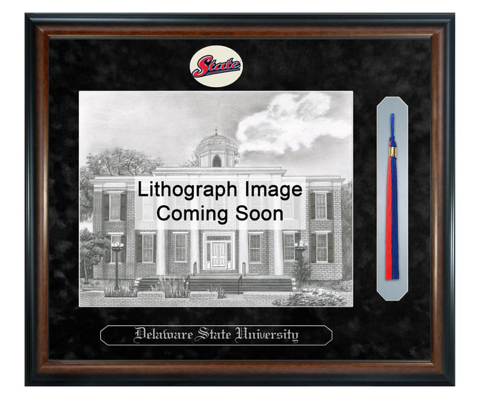Delaware State University Litho Frame,Diploma Frame (XSNTL)