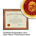 Flagler College Certificate with Frame