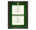 Florida A&M University College of Law Diploma Frame (DSN)
