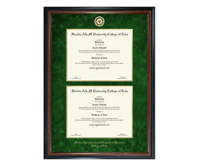 Florida A&M University College of Law Diploma Frame (DSN)
