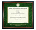 Florida A&M University College of Law Diploma Frame (SN)