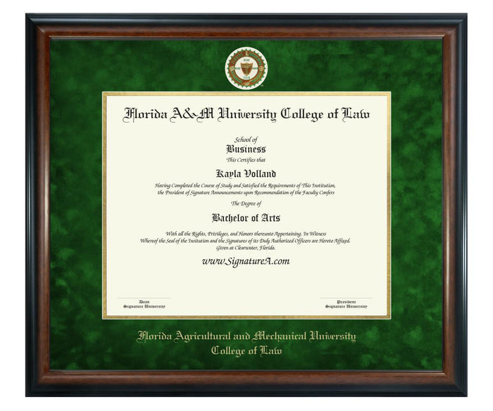 Florida A&M University College of Law Diploma Frame (SN)