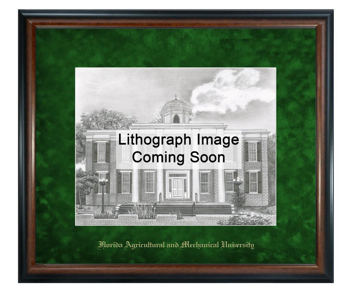 Florida A&M University Litho Frame,Diploma Frame (XNL)