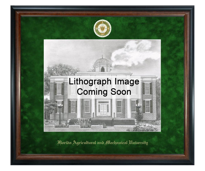 Florida A&M University Litho Frame,Diploma Frame (XSNL)