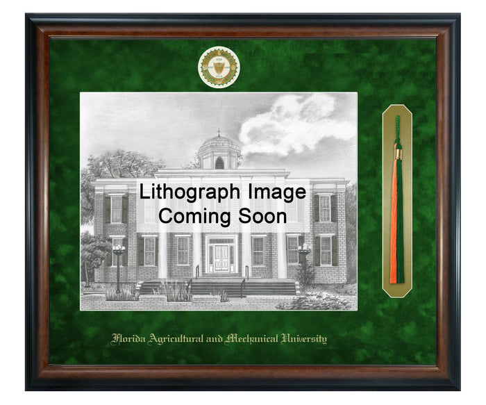 Florida A&M University Litho Frame,Diploma Frame (XSNTL)