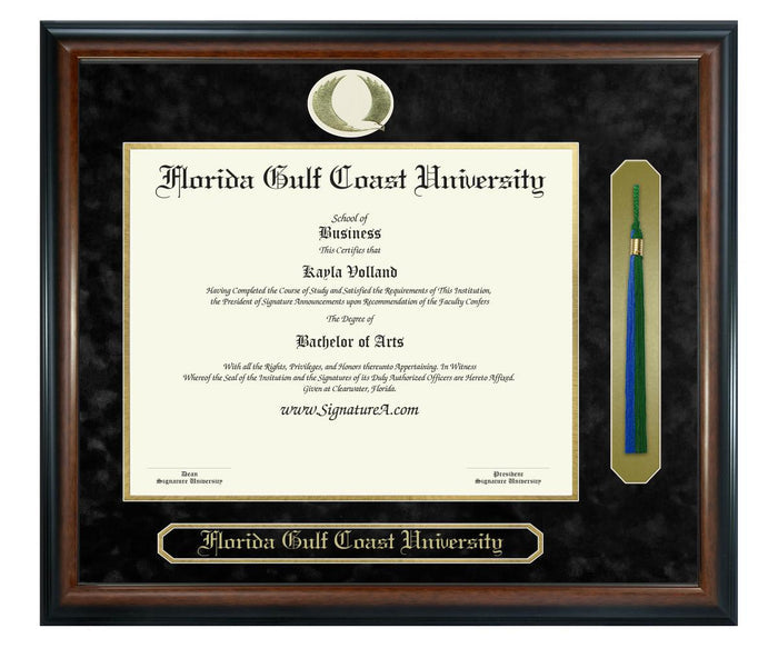 Florida Gulf Coast University Diploma Frame (SNT)
