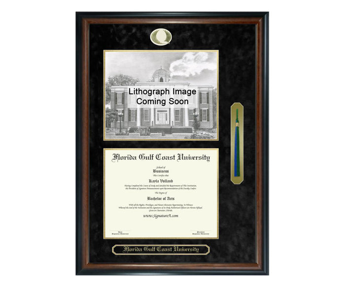Florida Gulf Coast University Diploma Frame (SNTL)
