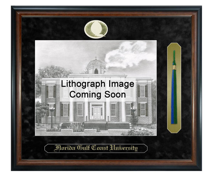 Florida Gulf Coast University Litho Frame,Diploma Frame (XSNTL)