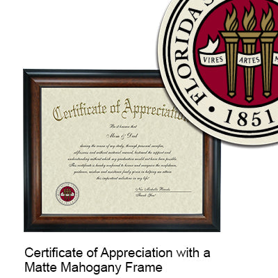 Florida State University College of Law Certificate with Frame