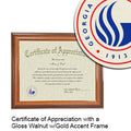 Georgia State University Certificate with Frame