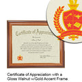 Harvard University T.H. Chan School of Public Health  Certificate with Frame