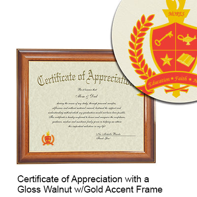 Harvard University T.H. Chan School of Public Health  Certificate with Frame