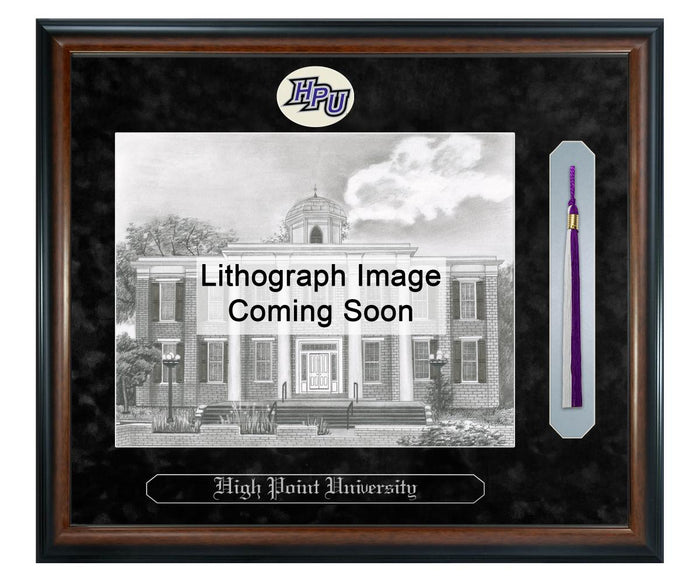 High Point University Litho Frame,Diploma Frame (XSNTL)