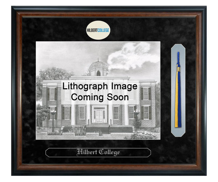Hilbert College Litho Frame,Diploma Frame (XSNTL)
