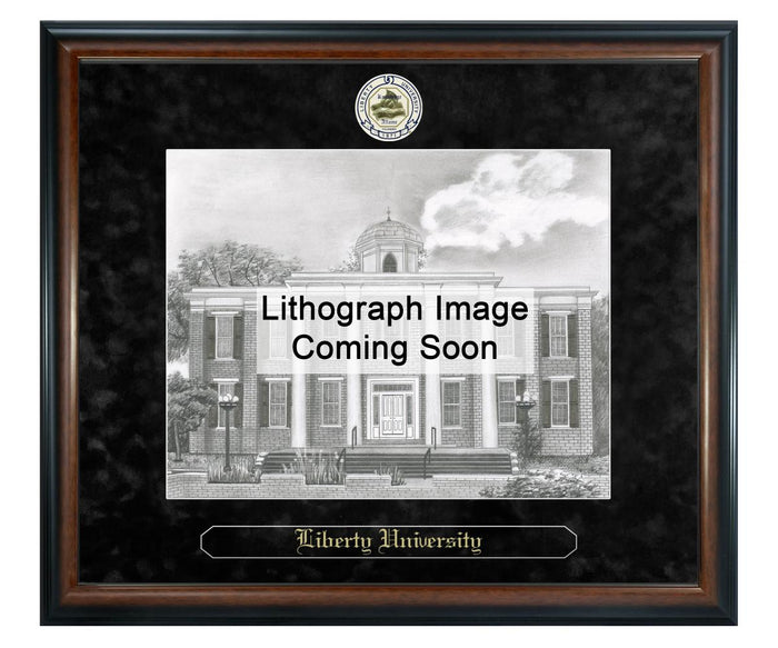 Liberty University Litho Frame,Diploma Frame (XSNL)