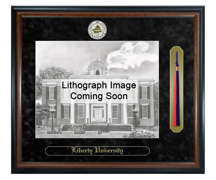 Liberty University Litho Frame,Diploma Frame (XSNTL)