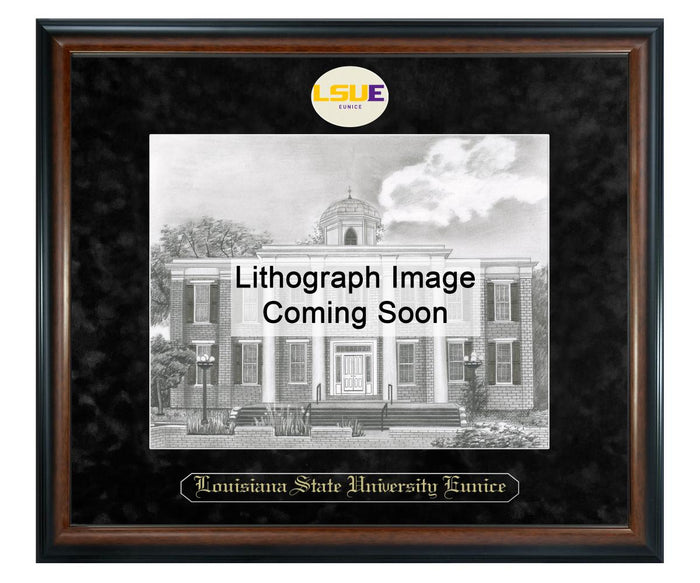 Louisiana State University - Eunice Litho Frame,Diploma Frame (XSNL)