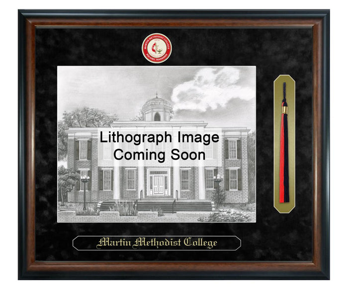 Martin Methodist College Litho Frame,Diploma Frame (XSNTL)