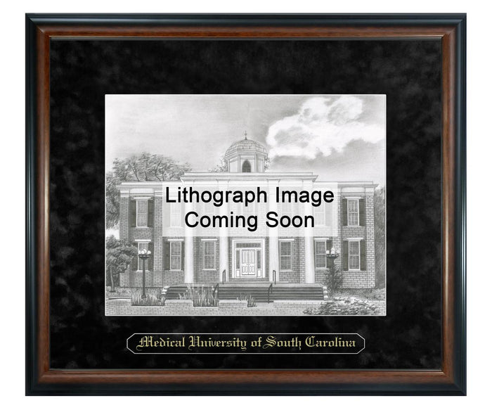 Medical University of South Carolina Litho Frame,Diploma Frame (XNL)