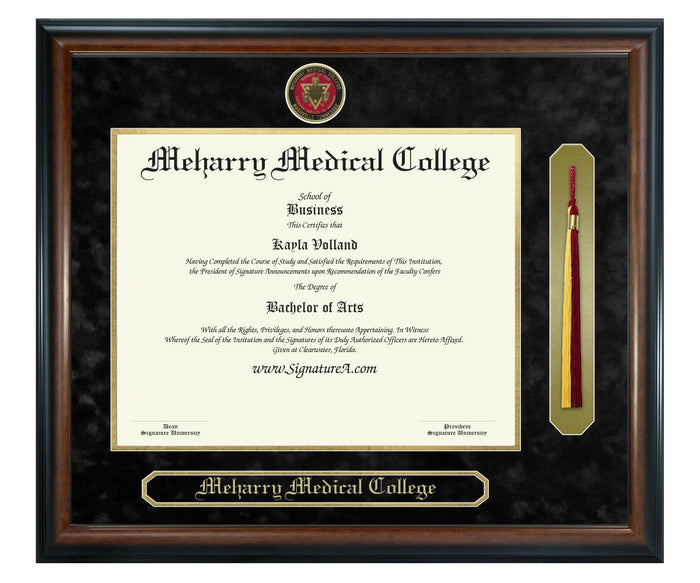 Meharry Medical College Diploma Frame (SNT)