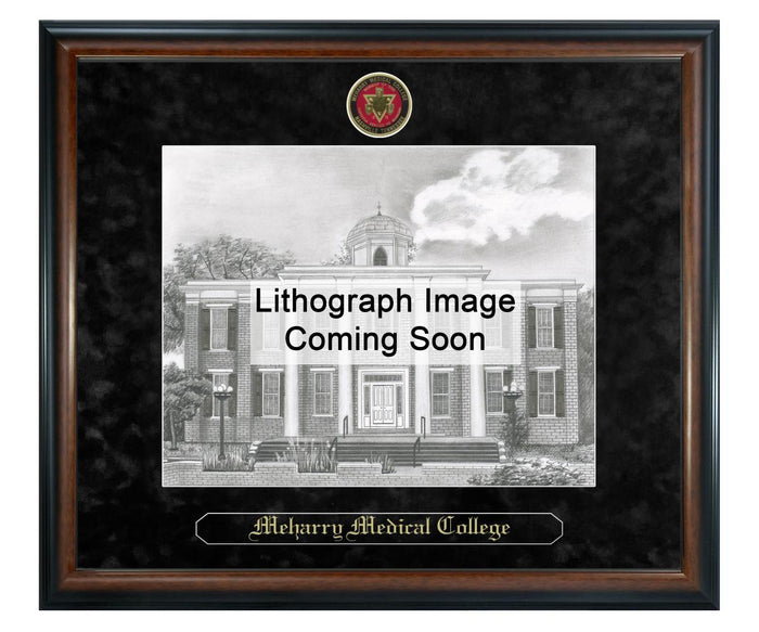 Meharry Medical College Litho Frame,Diploma Frame (XSNL)