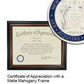 New York Law School Certificate with Frame