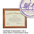 New York University Certificate with Frame