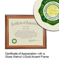 Ohio University Certificate with Frame