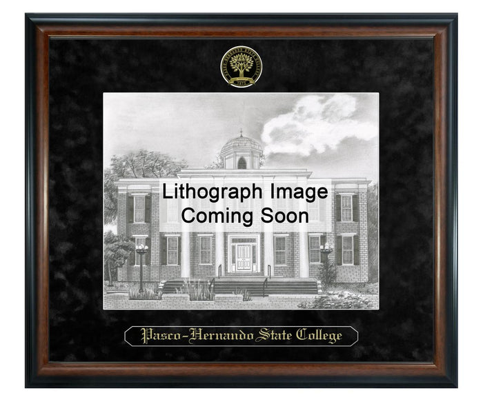 Pasco-Hernando State College Litho Frame,Diploma Frame (XSNL)