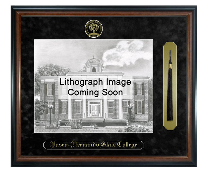 Pasco-Hernando State College Litho Frame,Diploma Frame (XSNTL)