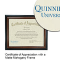 Quinnipiac University Certificate with Frame
