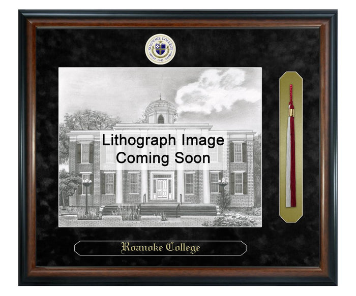Roanoke College Litho Frame,Diploma Frame (XSNTL)