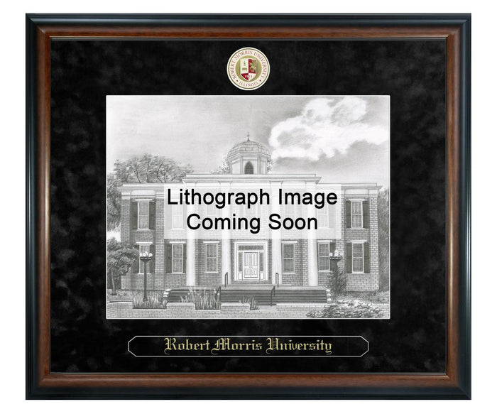 Robert Morris University, Illinois Litho Frame,Diploma Frame (XSNL)