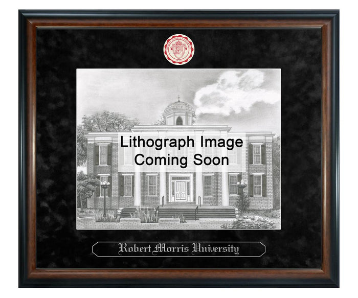 Robert Morris University Litho Frame,Diploma Frame (XSNL)